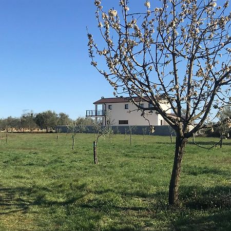 Villa Lydia Marčana Eksteriør billede