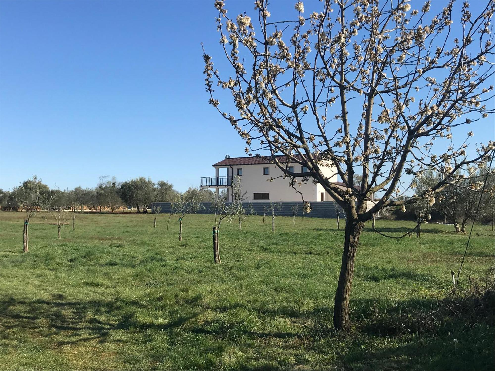 Villa Lydia Marčana Eksteriør billede