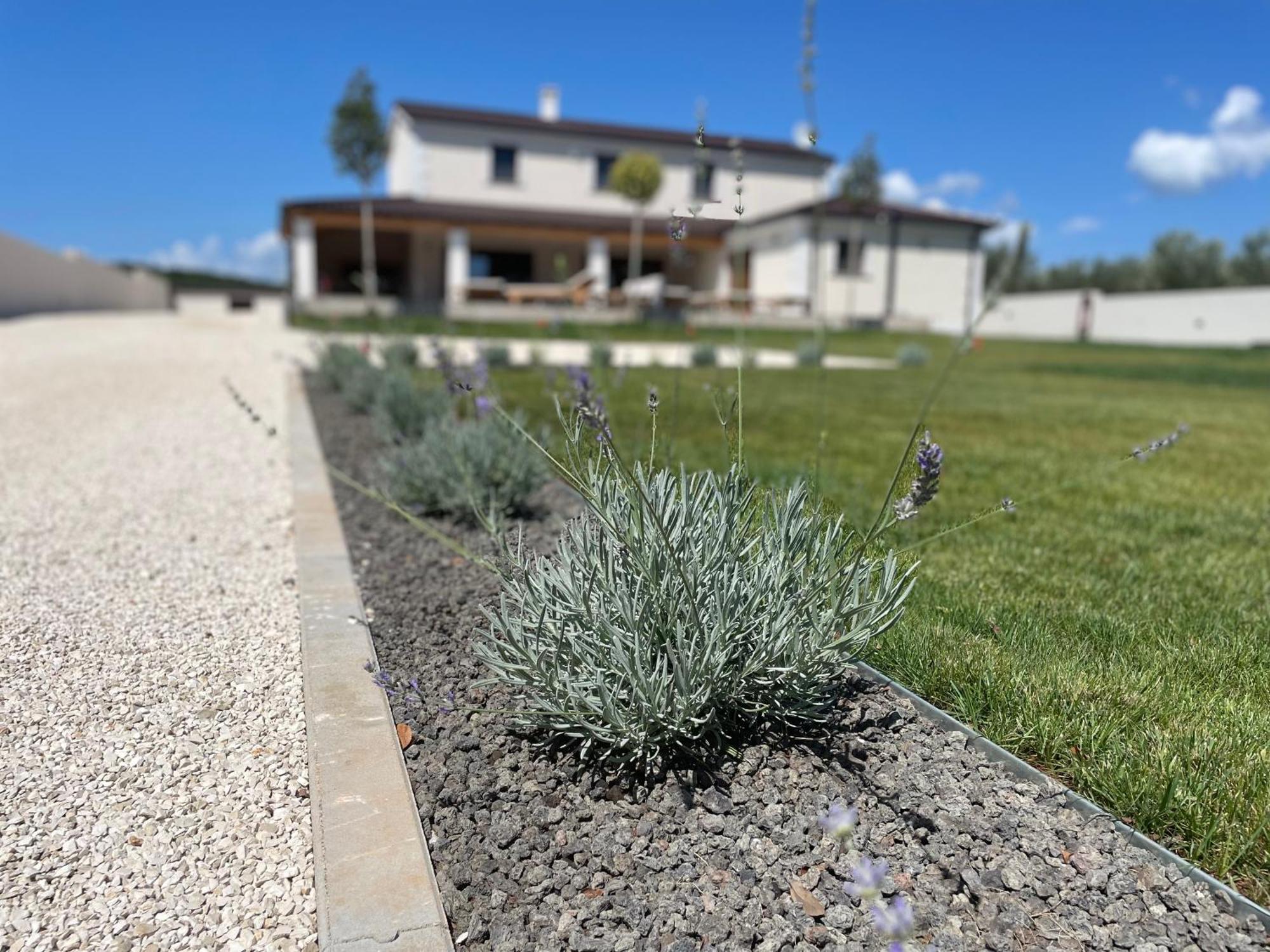 Villa Lydia Marčana Eksteriør billede